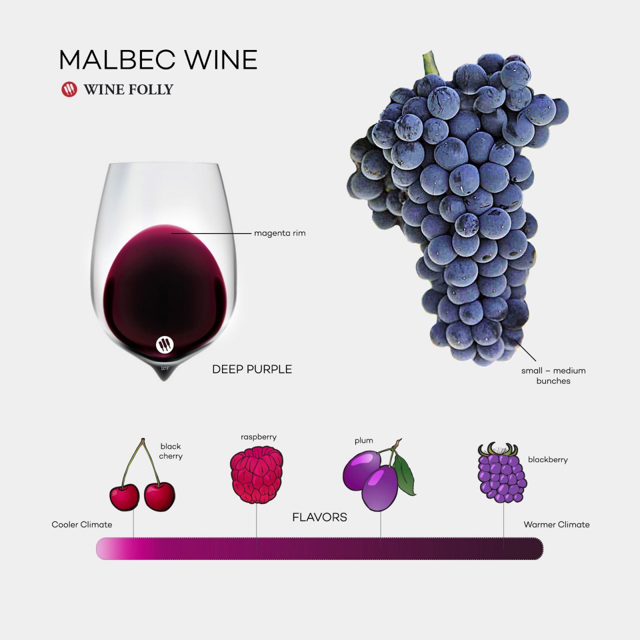 Сорт винограда Мальбек вино