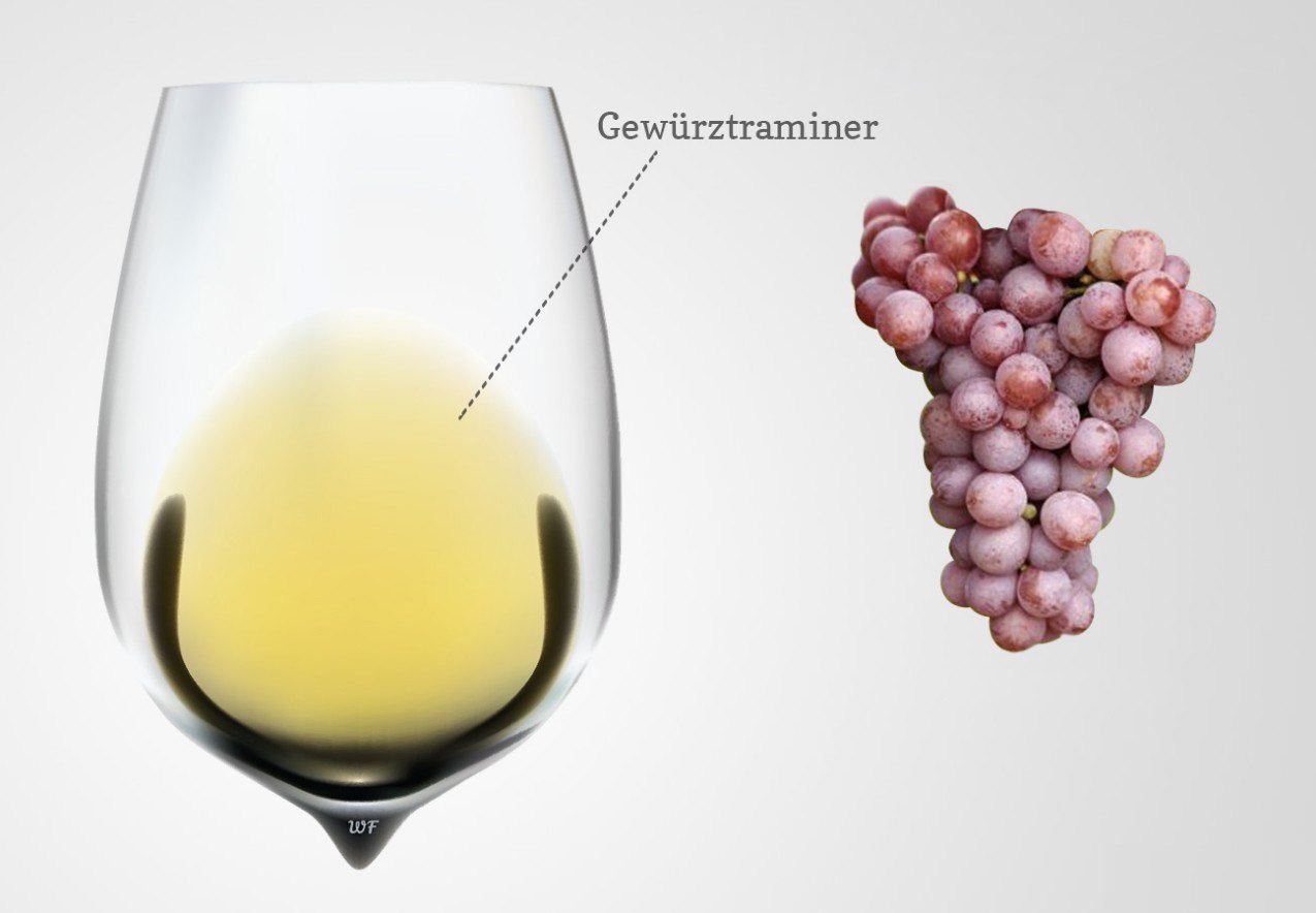 Сорт белого вина 7. Гевюрцтраминер сорта белого винограда. Гевюрцтраминер сорт винограда. Вино с сортом винограда Гевюрцтраминер. Сорт винограда Gewurztraminer.