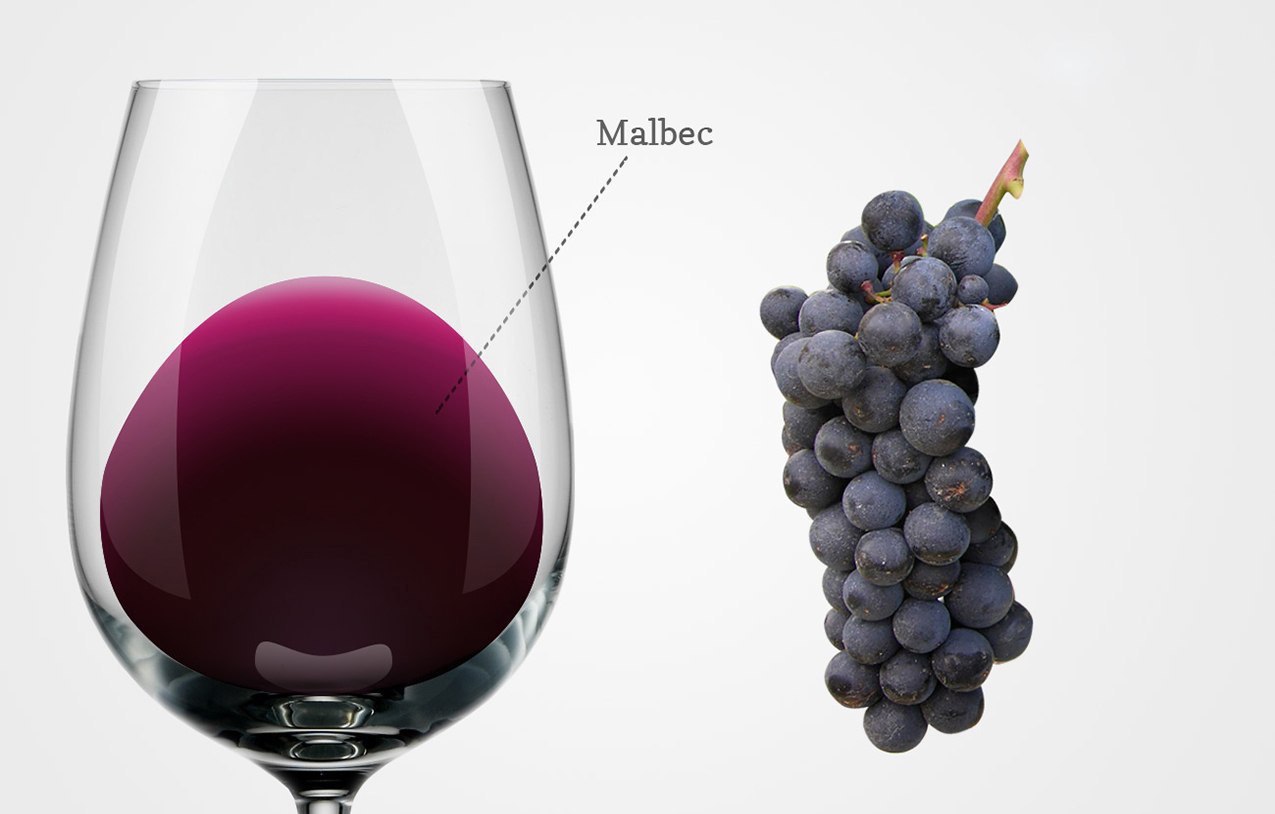 Вино из винограда каберне совиньон. Каберне Совиньон Ароматика. Каберне Совиньон цвет вина. Сорт Каберне Совиньон цвет вина. Мальбек виноград.