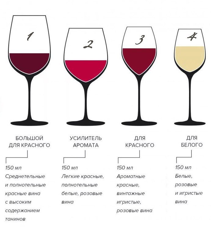 Винный этикет: разбираемся в бокалах для вина