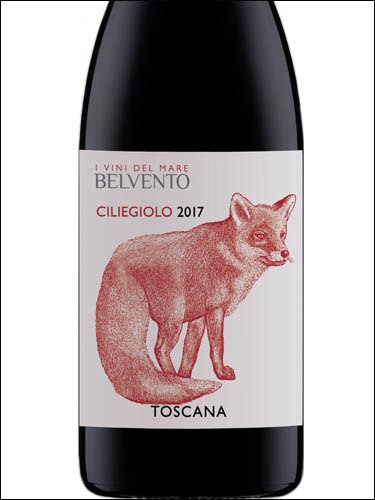 Тоскана вины. Вино Toscana Belvento. Тоскана Россо вино красное сухое. Rosso Toscana вино красное. Вино Петра Тоскана.