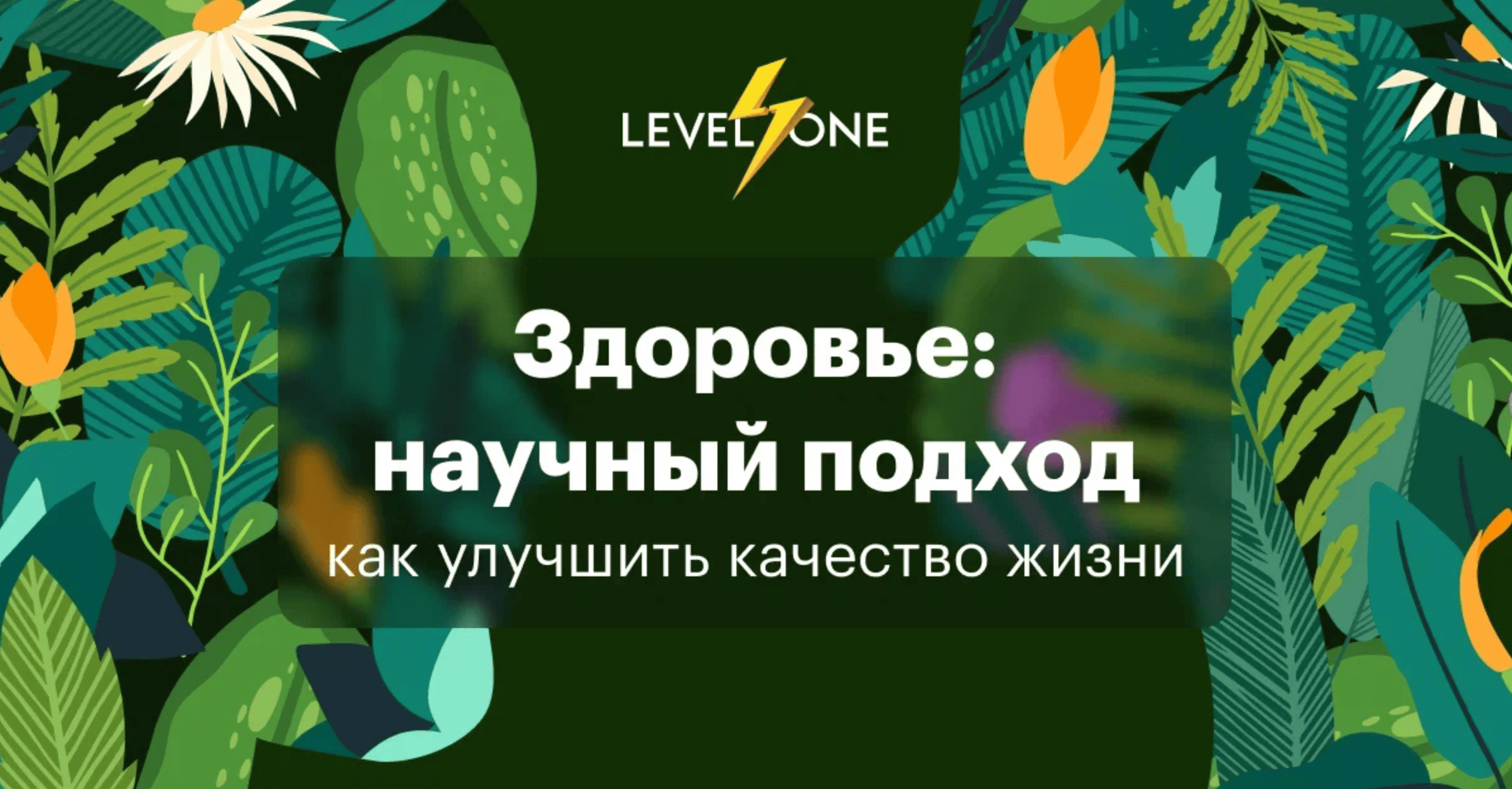 levelvan.ru